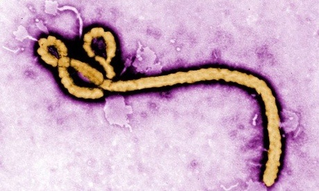 ebola virus now in usa